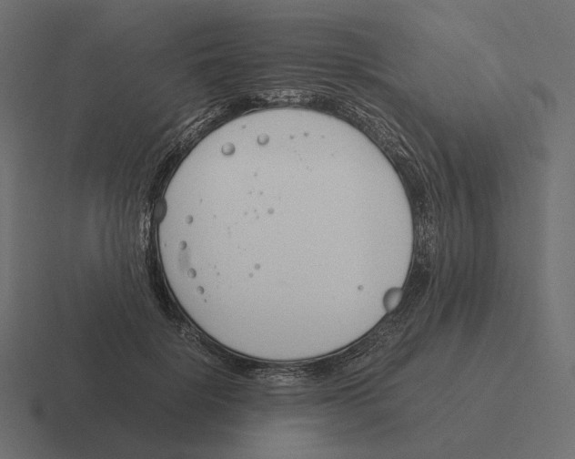 X0000116290652200912291413