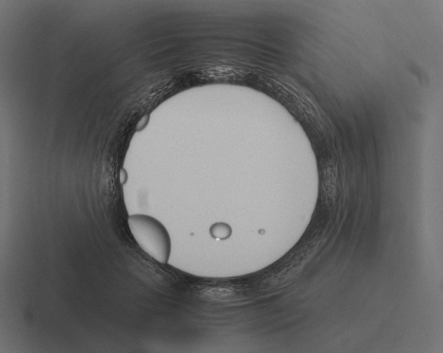 X0000116290653200912291413