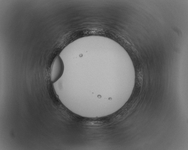 X0000116290657200912291413