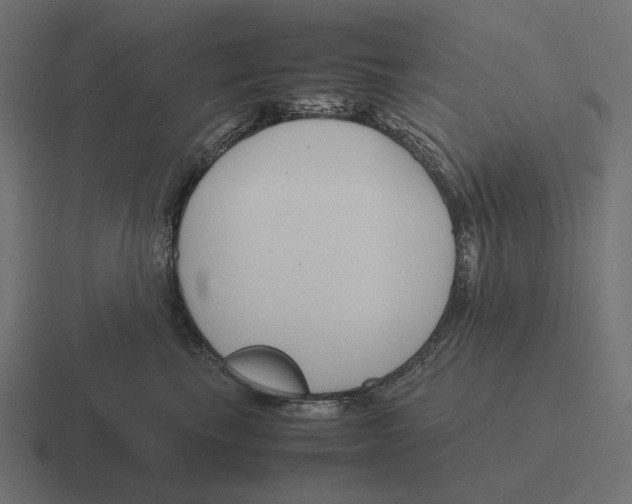 X0000116290665200912291413