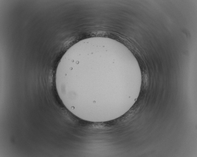 X0000116290668200912291413