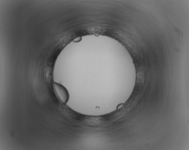 X0000116290671200912291413