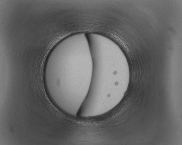 X0000116290673200912291413