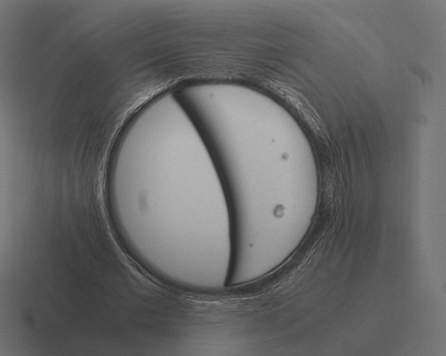 X0000116290677200912291413