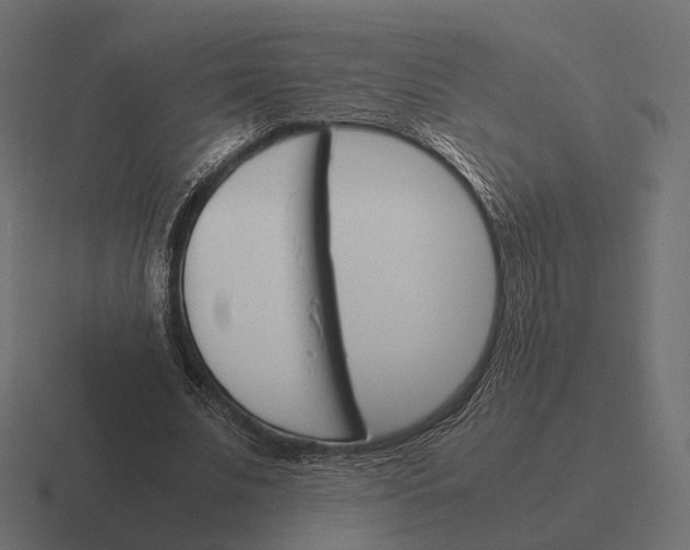 X0000116290679200912291413