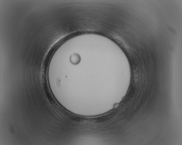 X0000116290680200912291413