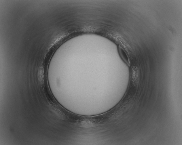 X0000116290684200912291413