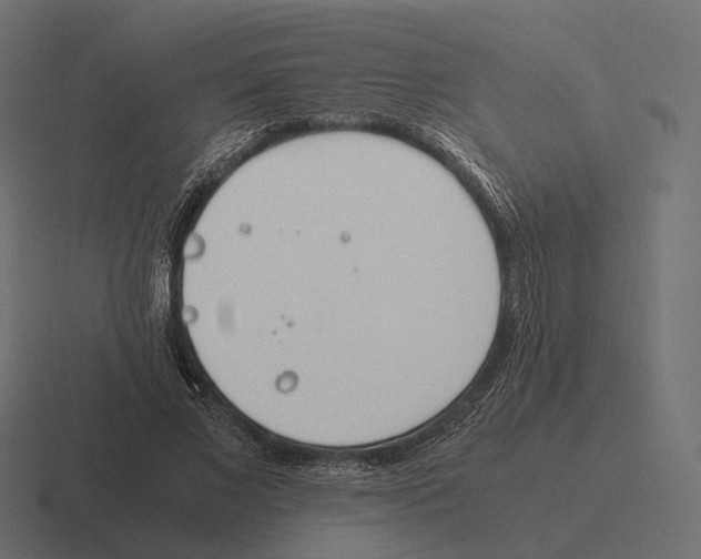 X0000116290685200912291413