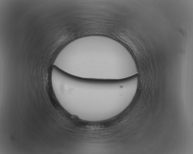 X0000116290693200912291412