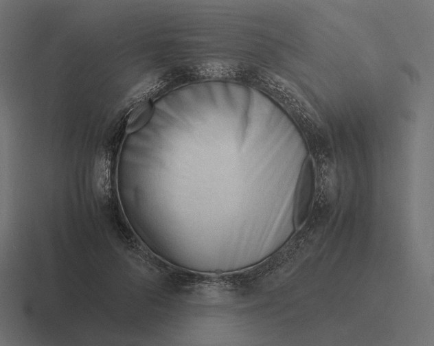 X0000116290696200912291412