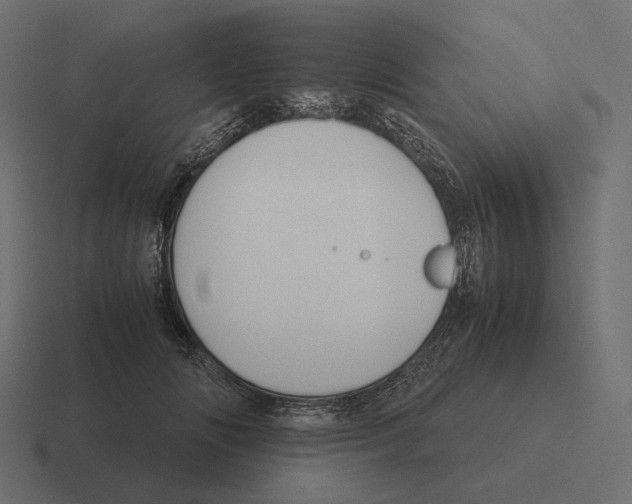 X0000116290702200912291412