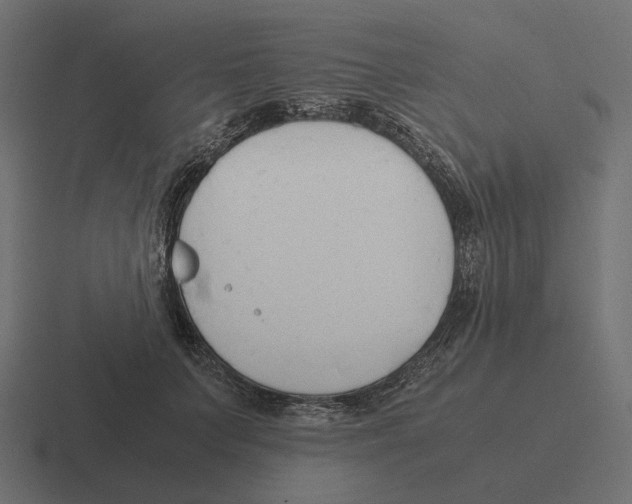 X0000116290703200912291412