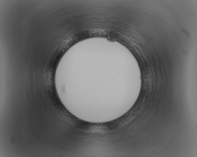 X0000116290708200912291412