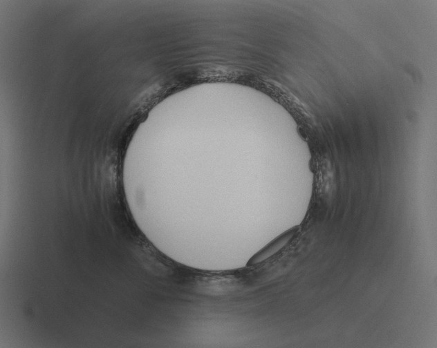 X0000116290716200912291412