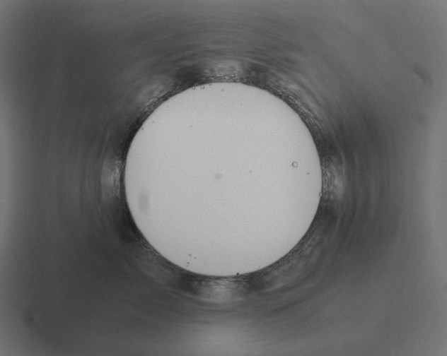 X0000116290717200912291412