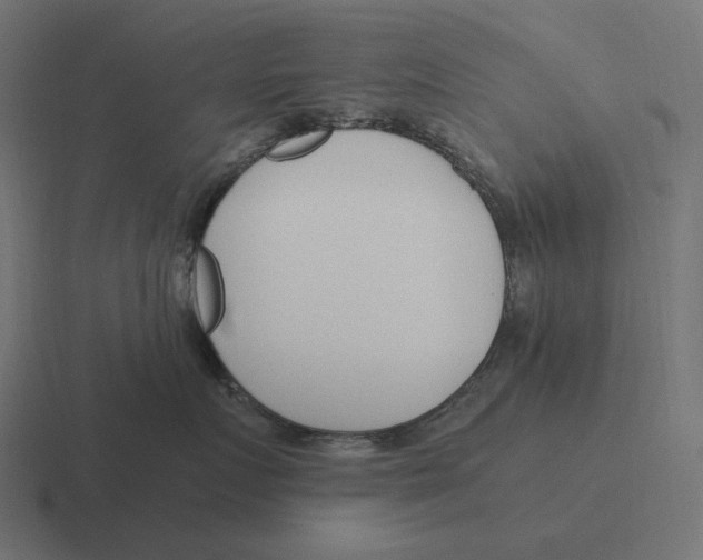 X0000116290719200912291412