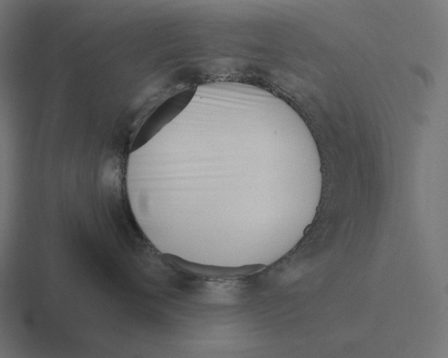 X0000116290720200912291412