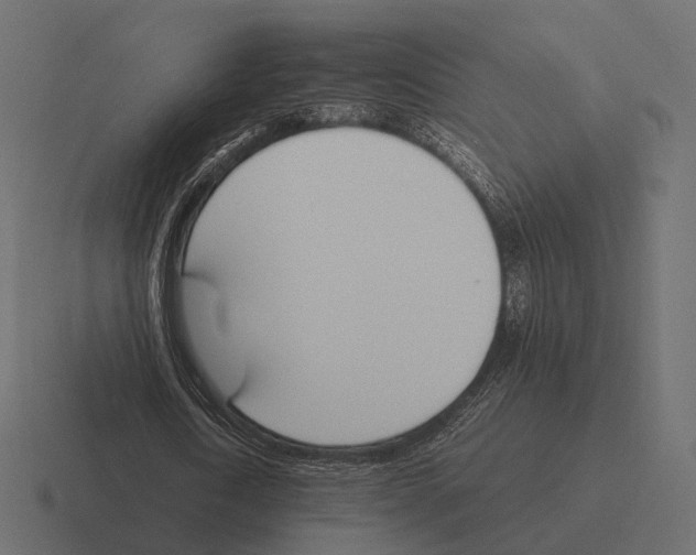 X0000116290722200912291412