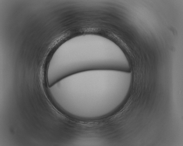 X0000116290725200912291412