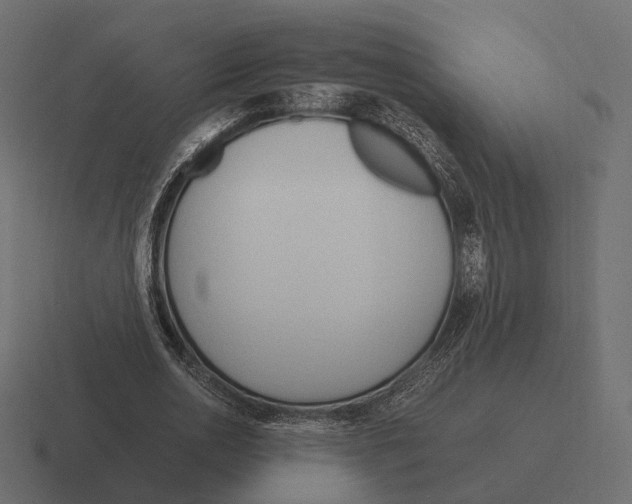 X0000116290726200912291412