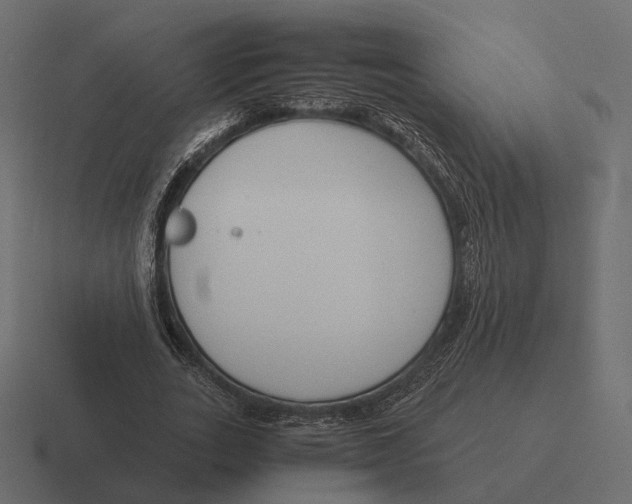 X0000116290727200912291412