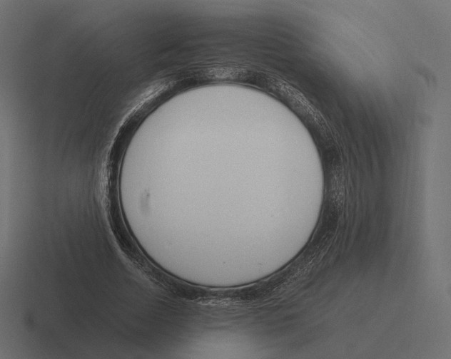 X0000116290730200912291412