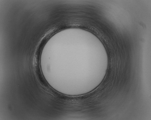 X0000116290731200912291412