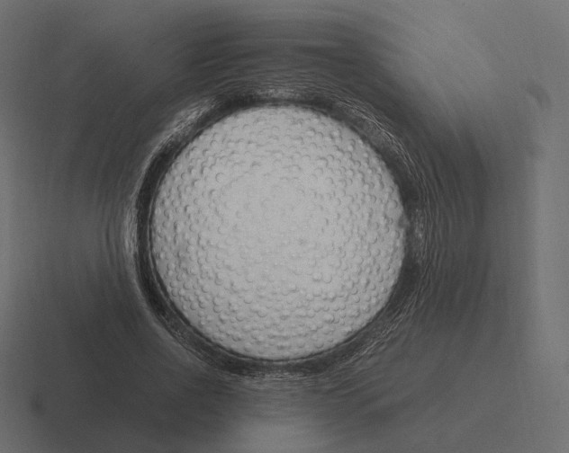 X0000116290734200912291412