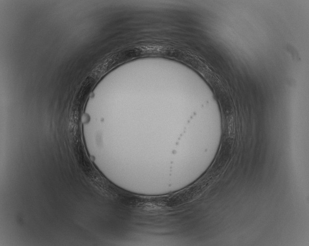 X0000116290737200912291412