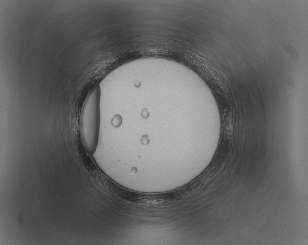 X0000116290746200912291412