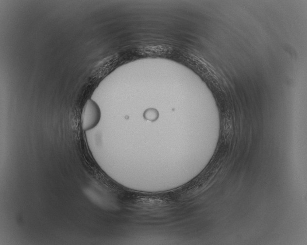 X0000116290749200912291412