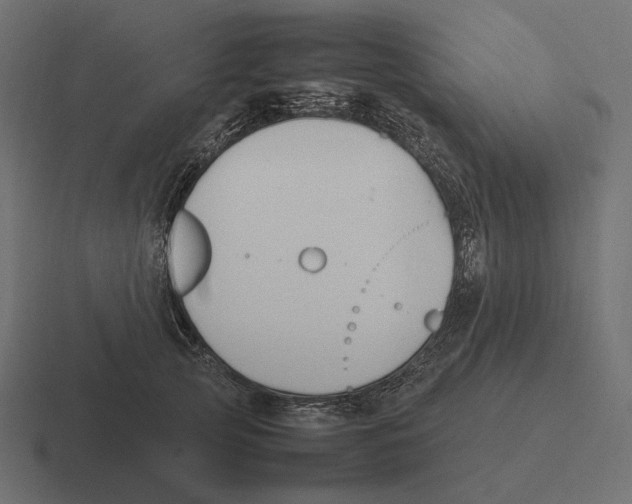 X0000116290753200912291412