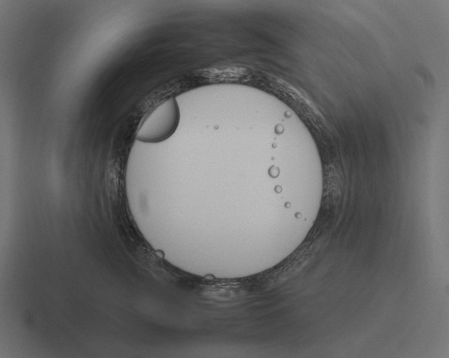 X0000116290761200912291412