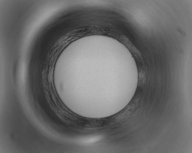 X0000116290765200912291412