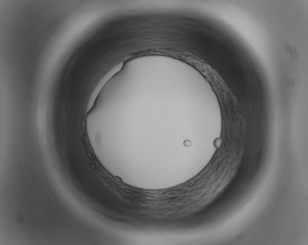 X0000116290766200912291412