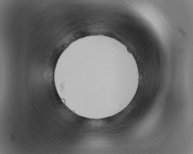 X0000116290767200912291412