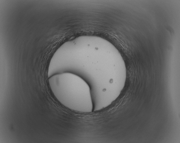 X0000116290769200912291411