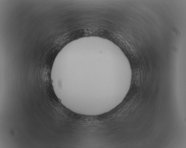 X0000116290770200912291411