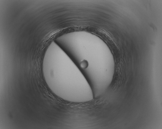 X0000116290773200912291411