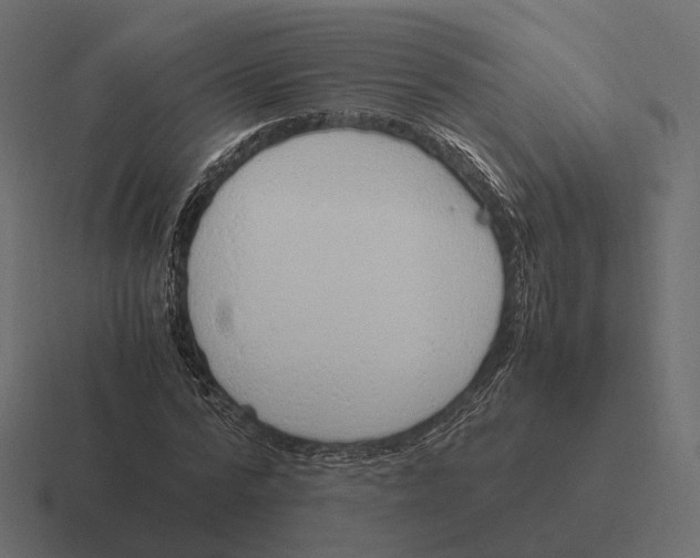 X0000116290776200912291411