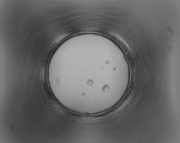 X0000116290777200912291411