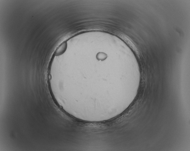 X0000116290805200912291411