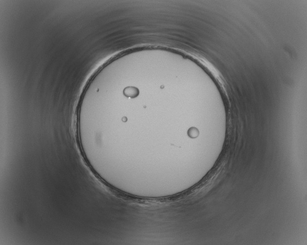 X0000116290807200912291411