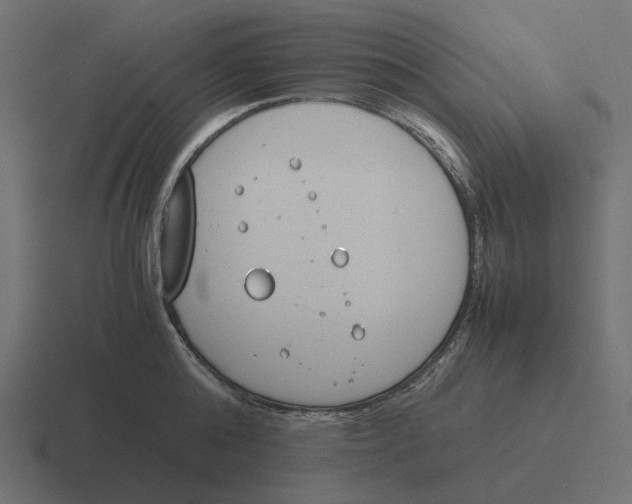 X0000116290808200912291411