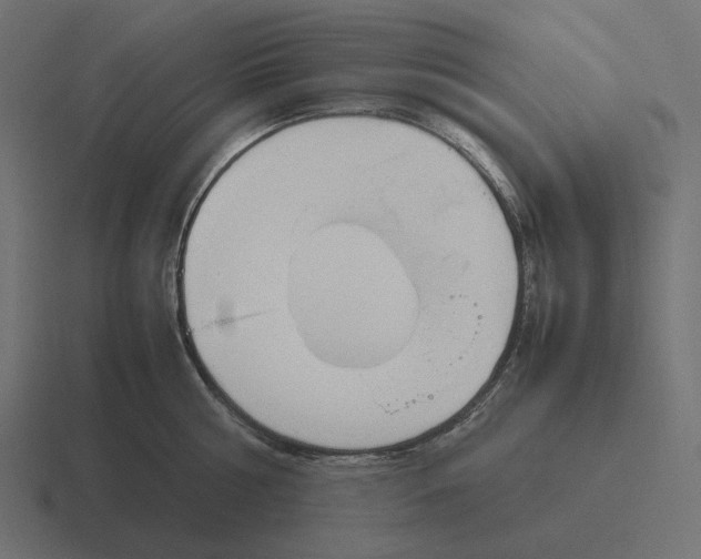 X0000116290810200912291411