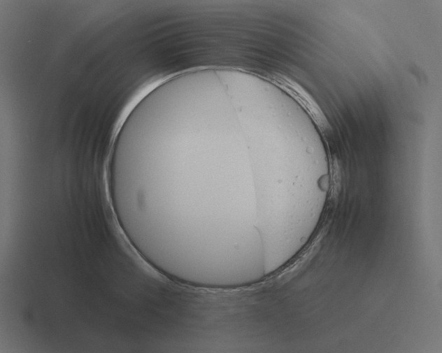 X0000116290812200912291411