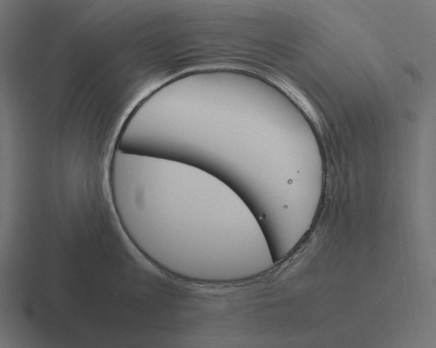 X0000116290813200912291411