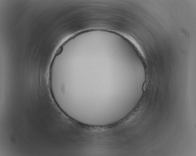 X0000116290815200912291411