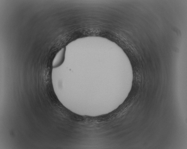 X0000116290818200912291410