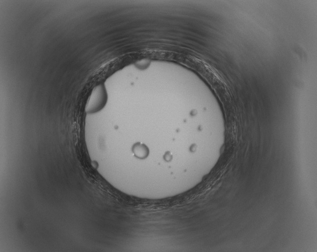 X0000116290821200912291410